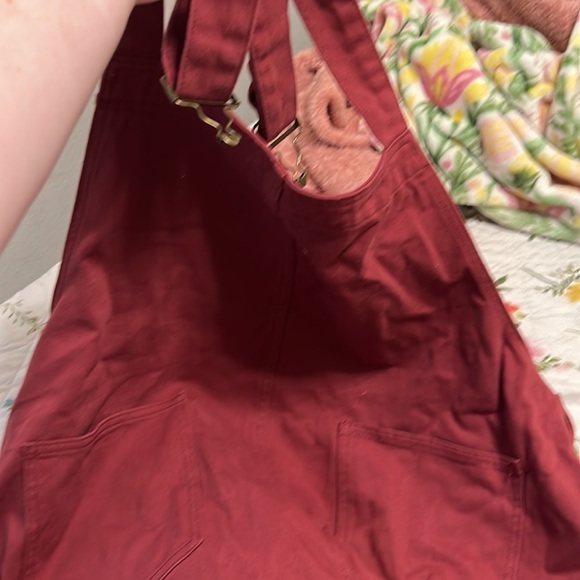 Brand NWOT CIDER overalls! - Picture 5 of 5